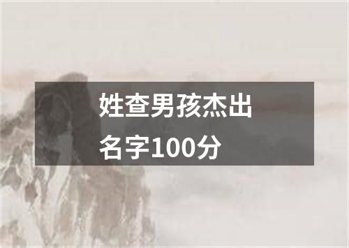 姓查男孩杰出名字100分
