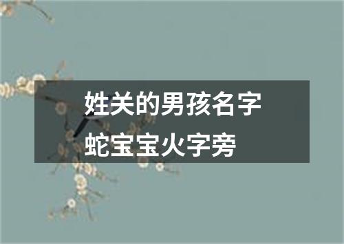 姓关的男孩名字蛇宝宝火字旁