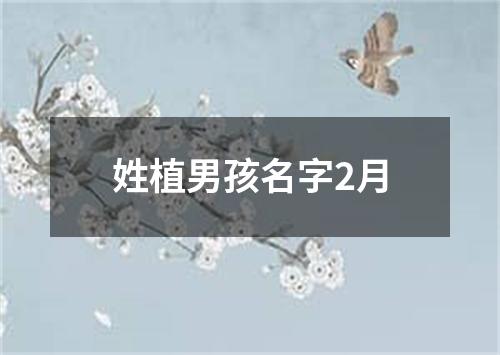 姓植男孩名字2月