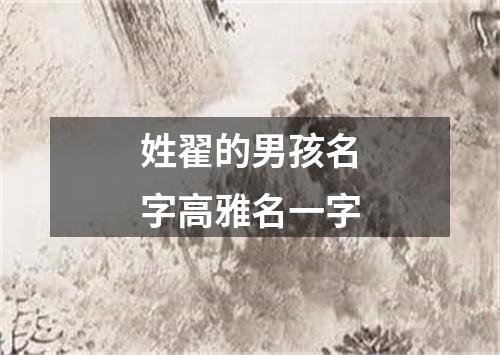 姓翟的男孩名字高雅名一字