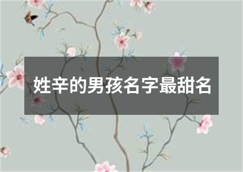 姓辛的男孩名字最甜名