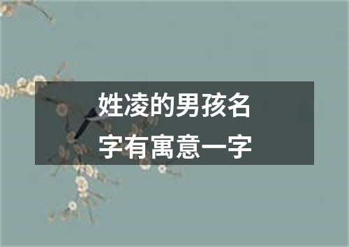 姓凌的男孩名字有寓意一字