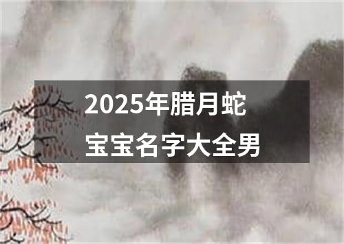 2025年腊月蛇宝宝名字大全男