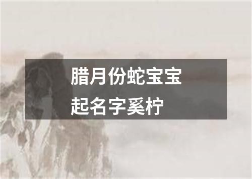 腊月份蛇宝宝起名字奚柠