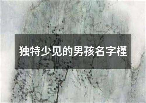 独特少见的男孩名字槿