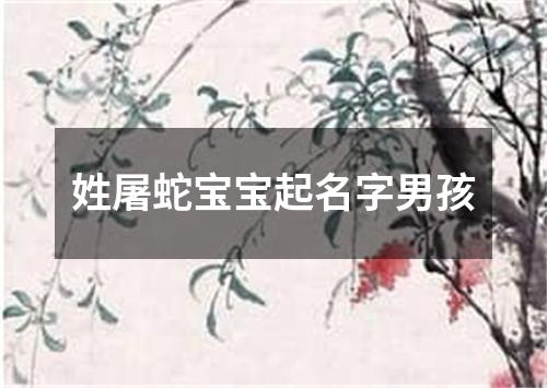 姓屠蛇宝宝起名字男孩