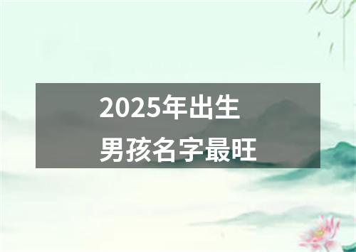 2025年出生男孩名字最旺