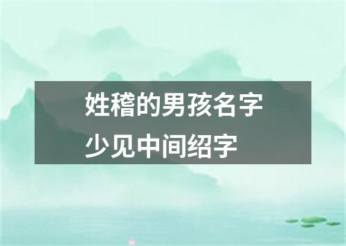 姓稽的男孩名字少见中间绍字
