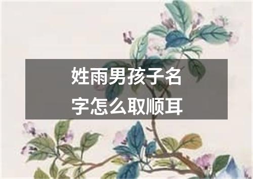 姓雨男孩子名字怎么取顺耳