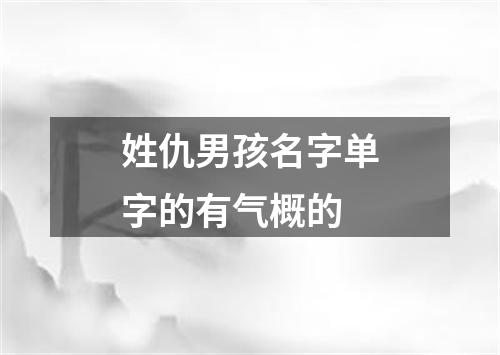 姓仇男孩名字单字的有气概的