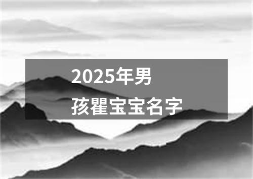 2025年男孩瞿宝宝名字
