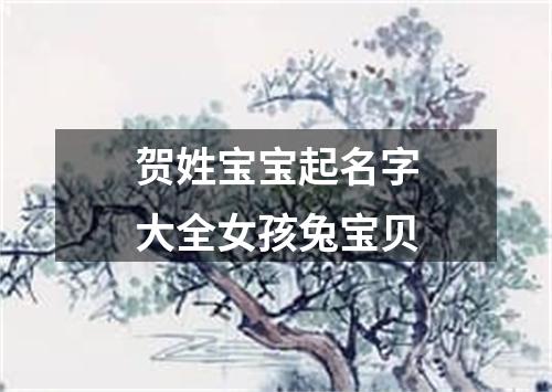 贺姓宝宝起名字大全女孩兔宝贝