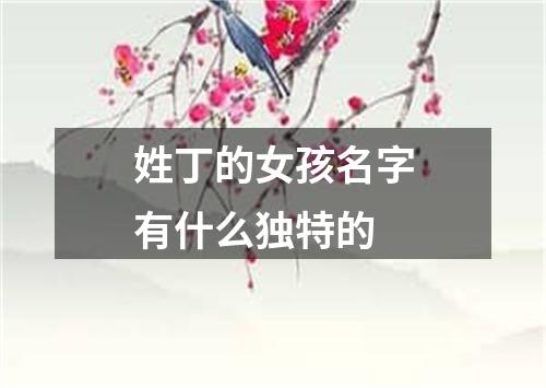 姓丁的女孩名字有什么独特的