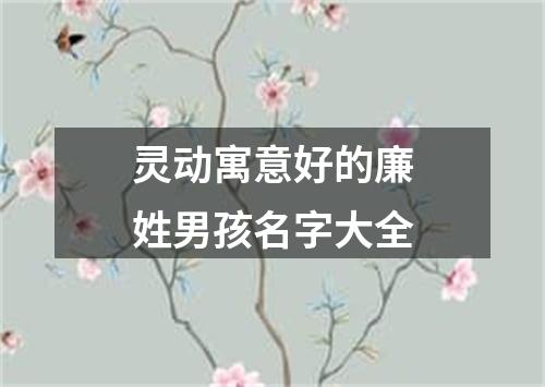 灵动寓意好的廉姓男孩名字大全