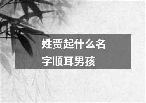 姓贾起什么名字顺耳男孩