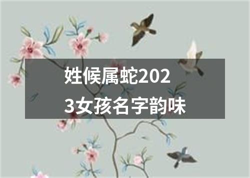姓候属蛇2023女孩名字韵味