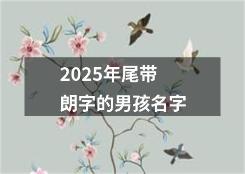 2025年尾带朗字的男孩名字