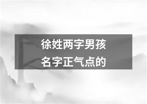 徐姓两字男孩名字正气点的