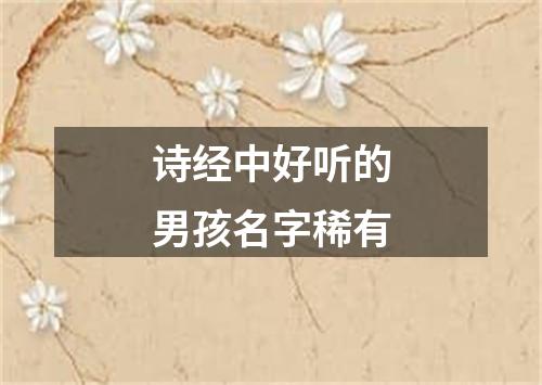 诗经中好听的男孩名字稀有