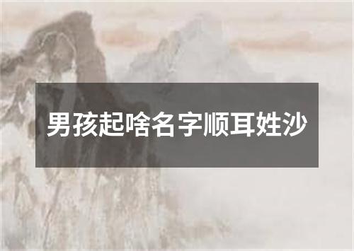 男孩起啥名字顺耳姓沙