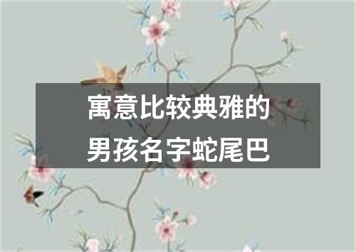 寓意比较典雅的男孩名字蛇尾巴