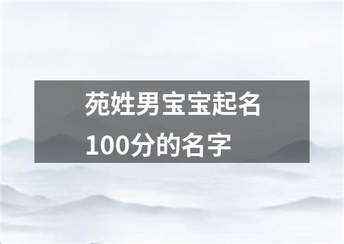 苑姓男宝宝起名100分的名字