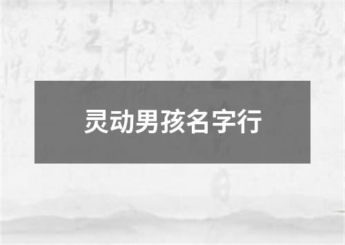 灵动男孩名字行