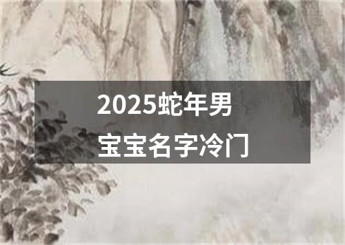 2025蛇年男宝宝名字冷门