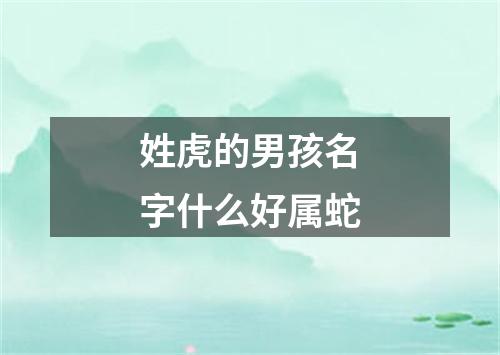 姓虎的男孩名字什么好属蛇