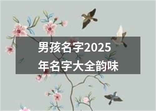 男孩名字2025年名字大全韵味