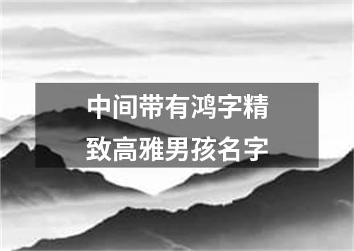 中间带有鸿字精致高雅男孩名字