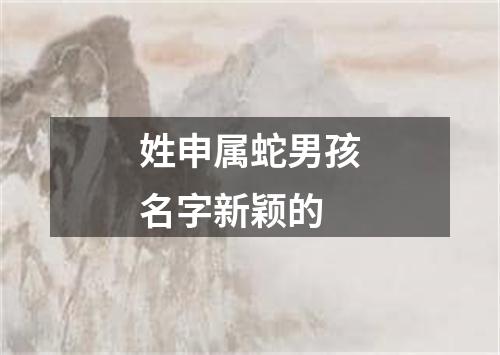 姓申属蛇男孩名字新颖的