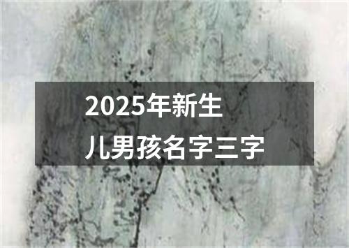 2025年新生儿男孩名字三字