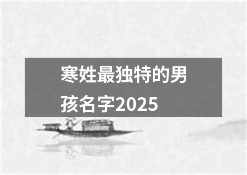 寒姓最独特的男孩名字2025