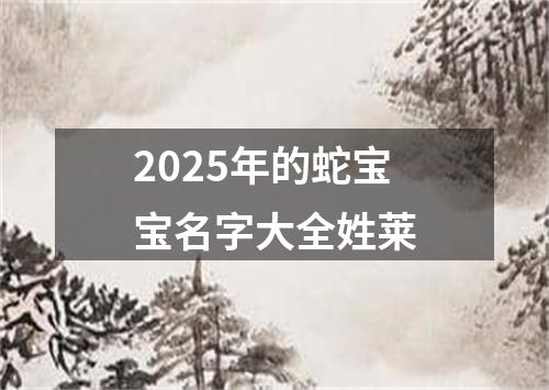 2025年的蛇宝宝名字大全姓莱