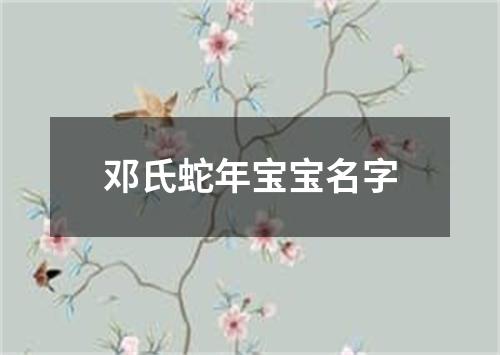 邓氏蛇年宝宝名字