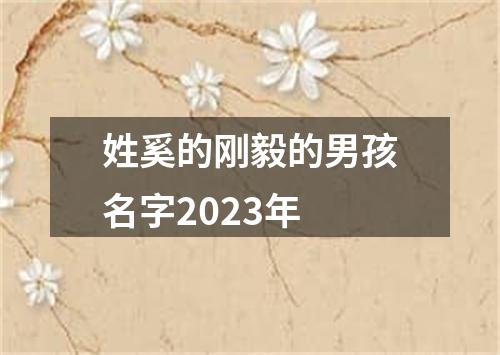 姓奚的刚毅的男孩名字2023年