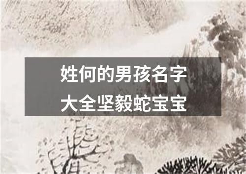 姓何的男孩名字大全坚毅蛇宝宝