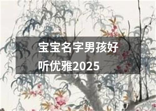 宝宝名字男孩好听优雅2025