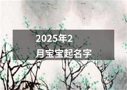 2025年2月宝宝起名字