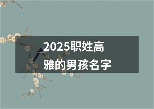 2025职姓高雅的男孩名字