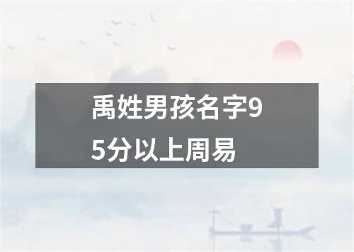 禹姓男孩名字95分以上周易