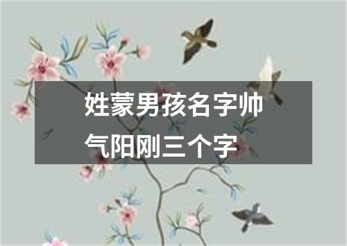 姓蒙男孩名字帅气阳刚三个字