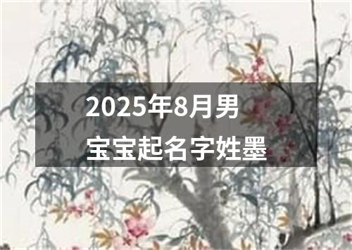 2025年8月男宝宝起名字姓墨