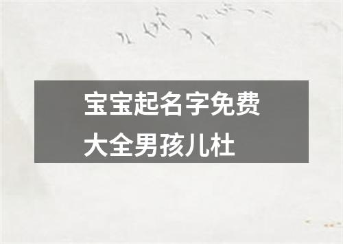 宝宝起名字免费大全男孩儿杜