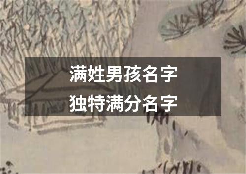 满姓男孩名字独特满分名字