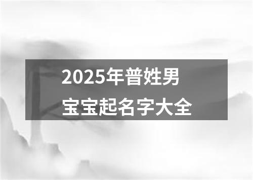 2025年普姓男宝宝起名字大全