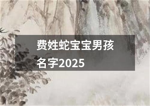 费姓蛇宝宝男孩名字2025