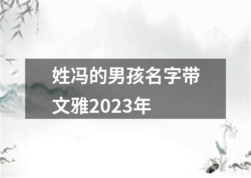 姓冯的男孩名字带文雅2023年