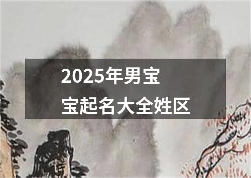 2025年男宝宝起名大全姓区